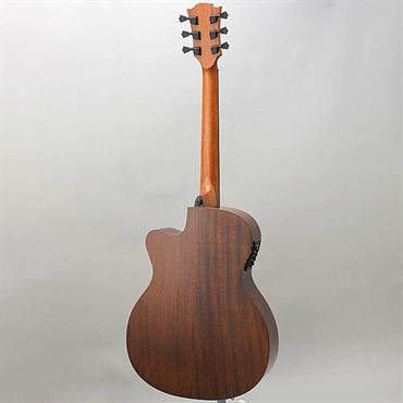 LAG 【夏のボーナスセール】【弦2セットプレゼント+延長保証！】【数量限定特価】 TRAMONTANE T118ACE-BRS ラグ 画像3