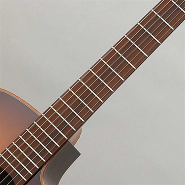 LAG 【夏のボーナスセール】【弦2セットプレゼント+延長保証！】【数量限定特価】 TRAMONTANE T118ACE-BRS ラグ 画像6