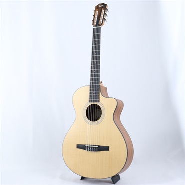 TAYLOR 112ce-N (エレガットモデル) テイラー 画像1
