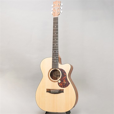 MATON SRS808C メイトン 画像2
