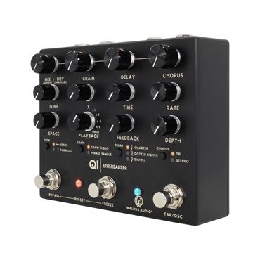 WALRUS AUDIO Qi Etherealizer #BK（Black）WAL-QIET 画像2