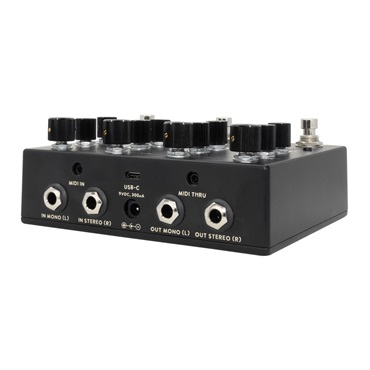 WALRUS AUDIO Qi Etherealizer #BK（Black）WAL-QIET 画像3