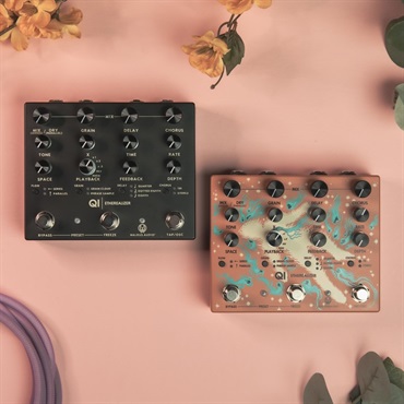 WALRUS AUDIO Qi Etherealizer #BK（Black）WAL-QIET 画像4