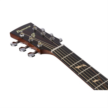 Ibanez 【夏のボーナスセール】PF34MHE-NT　 アイバニーズ 画像4