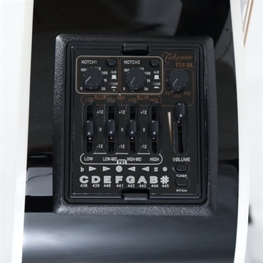 TAKAMINE EF341SC BL タカミネ 画像8