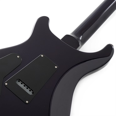 P.R.S. S2 Custom 24 Custom Configuration (Whale Blue) SN.S2078877 【2024年生産モデル】 画像5