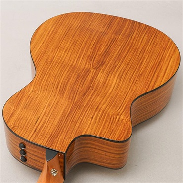 TAYLOR 214ce Plus テイラー 画像5