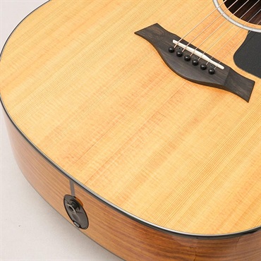TAYLOR 214ce Plus テイラー 画像7