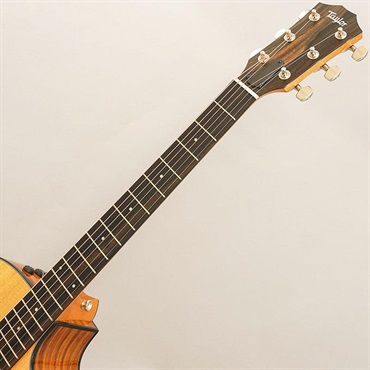 TAYLOR 214ce Plus テイラー 画像8