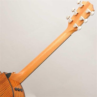 TAYLOR 214ce Plus テイラー 画像9