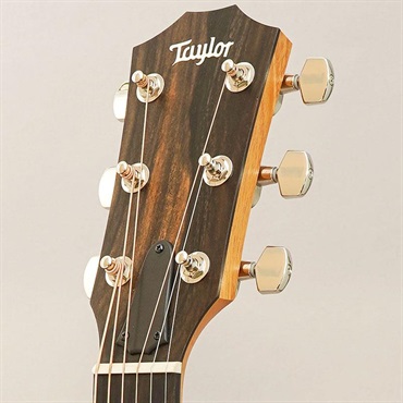 TAYLOR 214ce Plus テイラー 画像10
