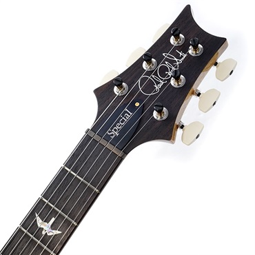 P.R.S. Special Semi-Hollow 10top (Carroll Blue) SN.0397966 画像8