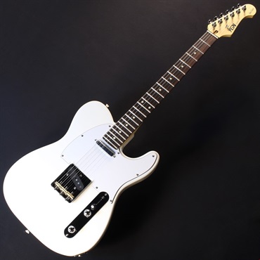 FUJIGEN BCTE100RBD (SWH/R) 画像1