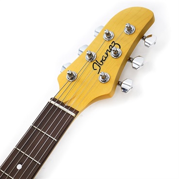 Ibanez J-LINE TM730-IDG 画像8
