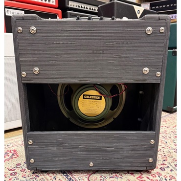 Morgan Amplification 【WEB限定在庫処分セール】 PR12Combo [TWILIGHT]（モーガン） 画像1