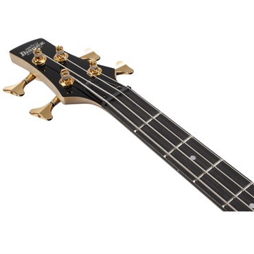Ibanez GSR200PC-TMU [SPOT MODEL] 画像4