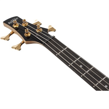 Ibanez GSR200PC-TPB [SPOT MODEL] 画像4