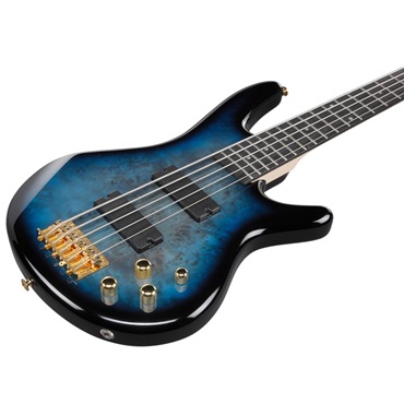 Ibanez GSR205PC-TMU [SPOT MODEL] 画像2