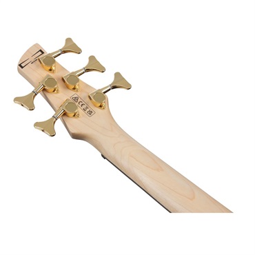 Ibanez GSR205PC-TMU [SPOT MODEL] 画像4