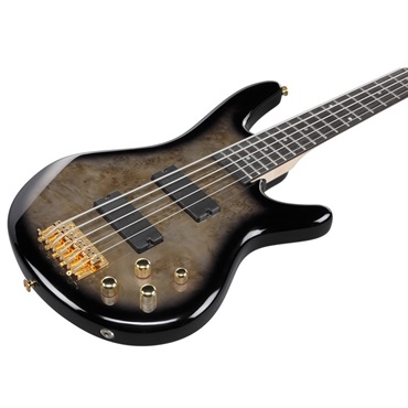 Ibanez GSR205PC-TPB [SPOT MODEL] 画像2