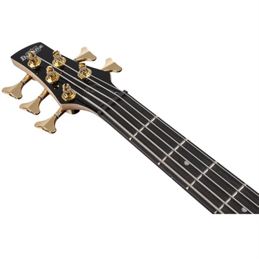 Ibanez GSR205PC-TPB [SPOT MODEL] 画像4