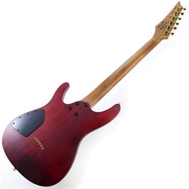 Ibanez SEW761FM-NTF 【キズ有り特価品】 画像2