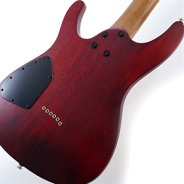 Ibanez SEW761FM-NTF 【キズ有り特価品】 画像5