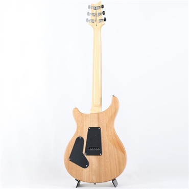 P.R.S. SE Custom 24 Burled Ash Limited Edition (Natural) 画像2