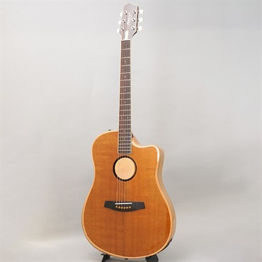 L.R.Baggs 【夏のボーナスセール】AEG-1 TOR エルアールバッグス 画像2