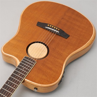 L.R.Baggs 【夏のボーナスセール】AEG-1 TOR エルアールバッグス 画像4