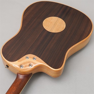 L.R.Baggs 【夏のボーナスセール】AEG-1 TOR エルアールバッグス 画像5