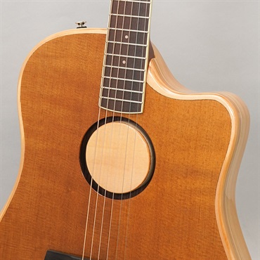 L.R.Baggs 【夏のボーナスセール】AEG-1 TOR エルアールバッグス 画像6
