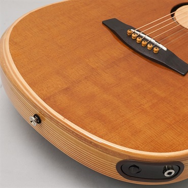 L.R.Baggs 【夏のボーナスセール】AEG-1 TOR エルアールバッグス 画像7