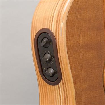 L.R.Baggs 【夏のボーナスセール】AEG-1 TOR エルアールバッグス 画像8