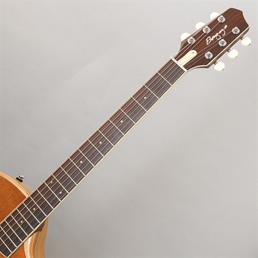 L.R.Baggs 【夏のボーナスセール】AEG-1 TOR エルアールバッグス 画像9