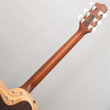 L.R.Baggs 【夏のボーナスセール】AEG-1 TOR エルアールバッグス 画像10