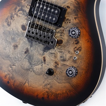 P.R.S. SE Custom 24-08 Poplar Burl Limited Edition (Charcoal Cherry Midnight Burst) 画像4