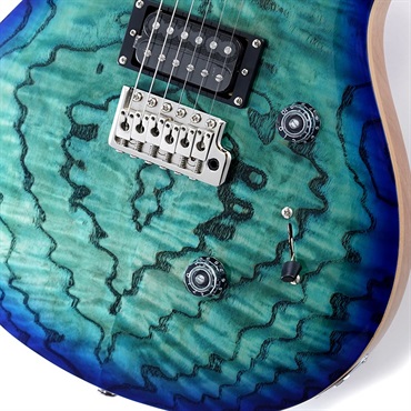 P.R.S. SE Custom 24 Burled Ash Limited Edition (Lake Blue) 画像4