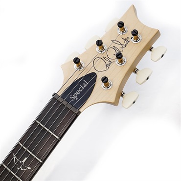 P.R.S. Swamp Ash Special (White Doghair Smokeburst) SN.0401931 2025年生産品 画像8