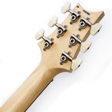 P.R.S. Swamp Ash Special (White Doghair Smokeburst) SN.0401931 2025年生産品 画像9