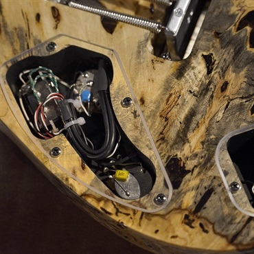 Ibanez Ikebe 50th Anniversary j-custom IKRG50TH Buckeye Burl (Smoke Reisn) SN.A25307 画像7