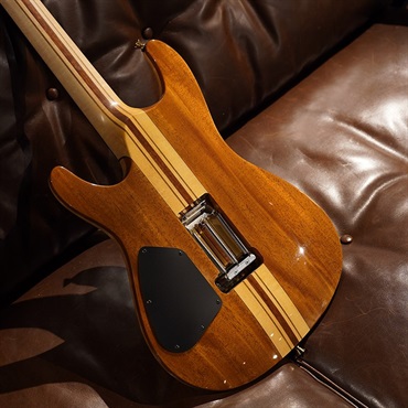 Ibanez Ikebe 50th Anniversary j-custom IKST50TH Natural SN.A25002 画像4