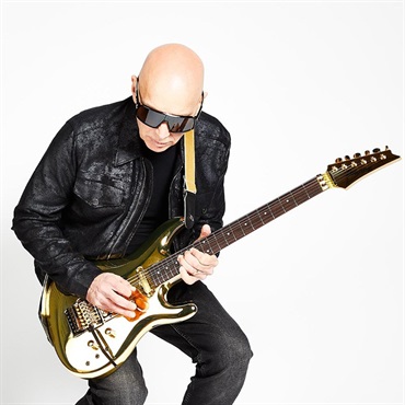 Ibanez JS1GD [Joe Satriani Model] 【受注生産品】 画像8