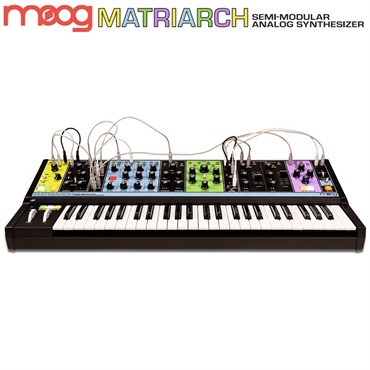 moog モーグ MATRIARCH メイトリアーク ANALOG SYNTH アナログシンセサイザー 画像2