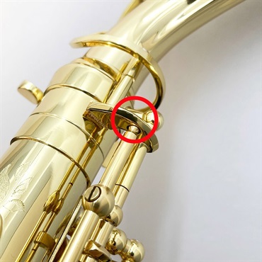 Selmer Paris 【チョイキズ特価!!】アルトサックス セルマー SA-80II(シリーズ2) ジュビリー GL w/e(彫刻付) 【調整&セットアップ後出荷】【5年間キーバランス調整無料】 画像2