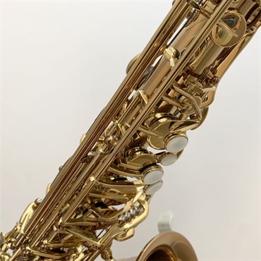FORESTONE USED 中古 フォレストーン アルトサックス GX COGNAC S/N:009xx 【調整&セットアップ後出荷】【5年間キーバランス調整無料】 画像2