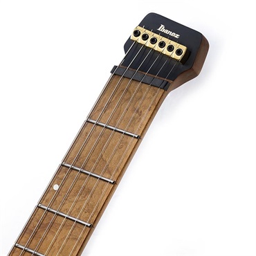 Ibanez MGFM10-OBL (Obsidian Black Low Gloss) [Manuel Gardner Fernandes Model] 画像8