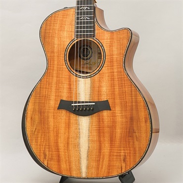 TAYLOR LTD 924ce 50th Anniversary Amp テイラー 画像1
