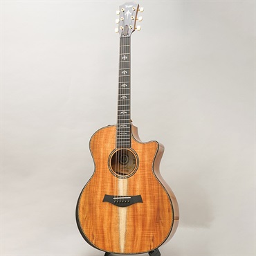 TAYLOR LTD 924ce 50th Anniversary Amp テイラー 画像3
