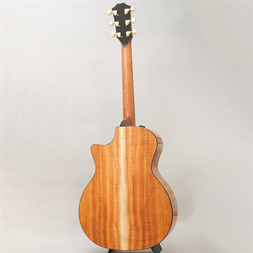 TAYLOR LTD 924ce 50th Anniversary Amp テイラー 画像4